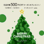 <strong>【期間限定】MERRY CHRISTMAS クーポン</strong>